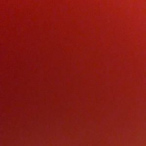 Meet your Posher, Trevor